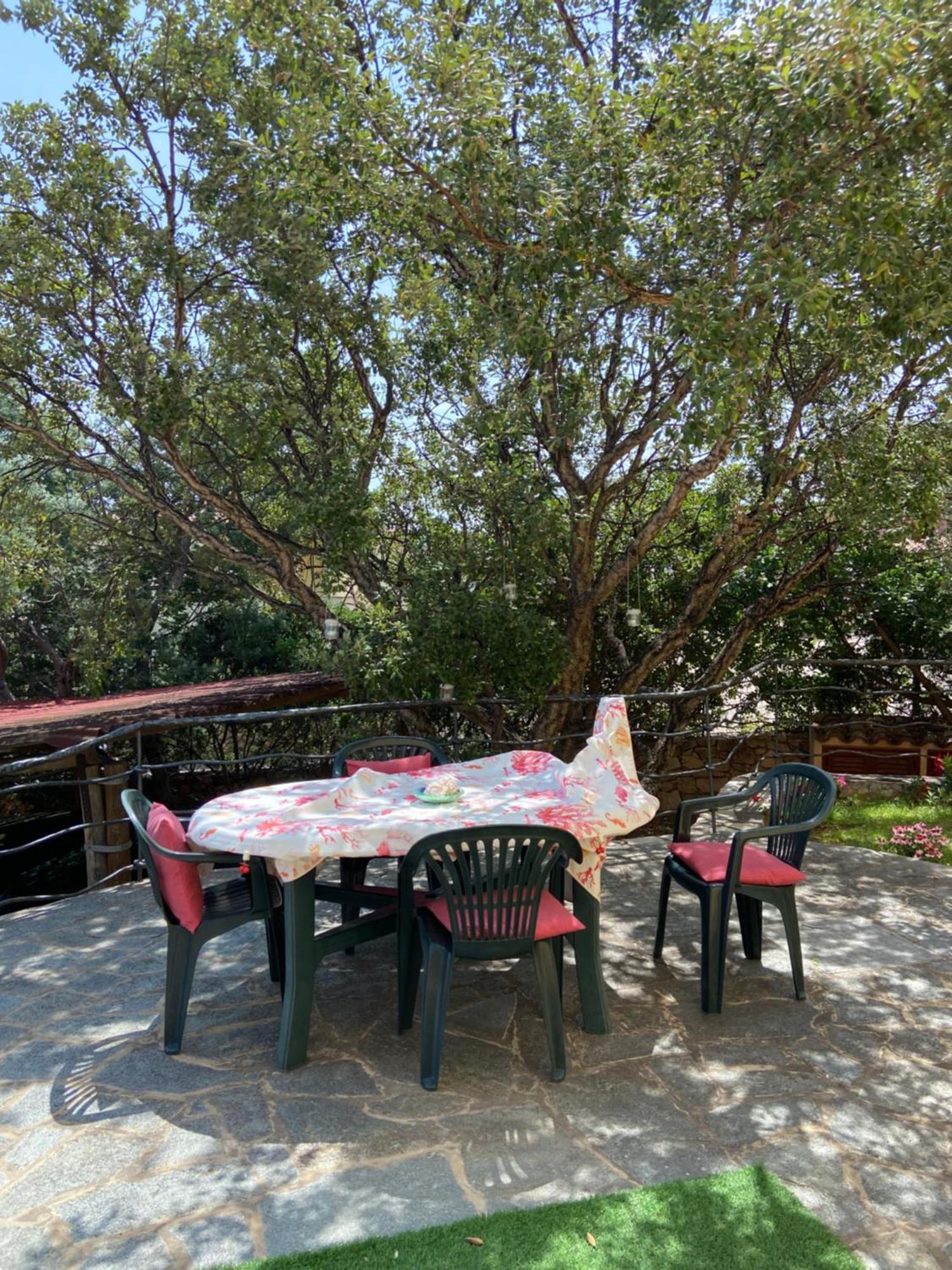 Case Vacanze Villa Rosita San Teodoro  Bagian luar foto