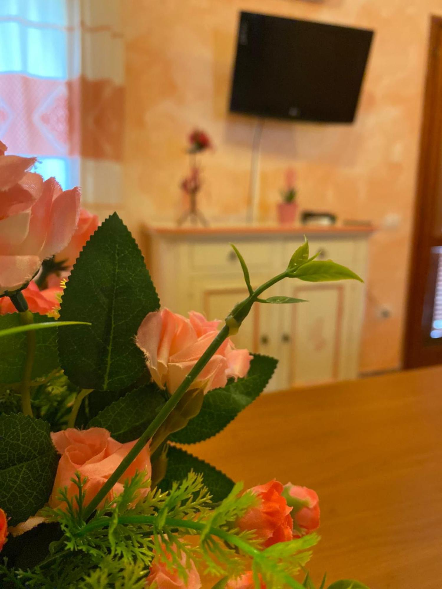 Case Vacanze Villa Rosita San Teodoro  Bagian luar foto